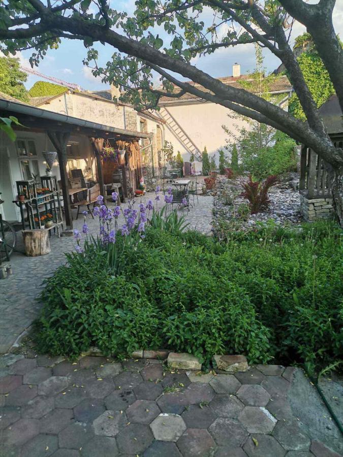 Somborski Salas - Strogi Centar Luaran gambar